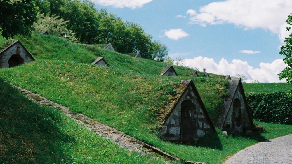 Hercegkut Wine Cellars Tokaj 2024